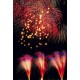 Feu d'artifice Bona Annada
